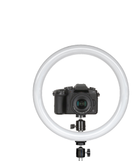 12" Bi-Color LED Ring Light Kit